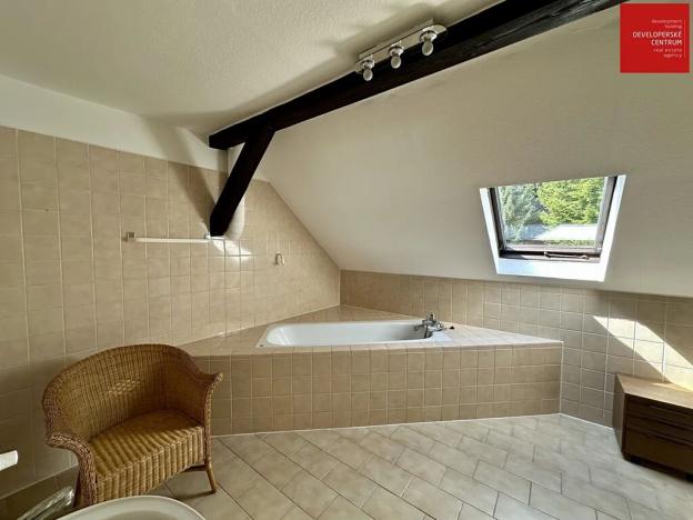 Prodej rodinného domu, Mnichov, 311 m2