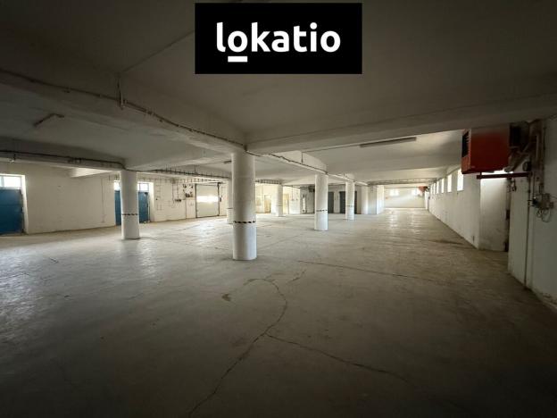Pronájem skladu, Kostěnice, 3000 m2