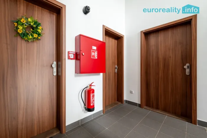 Pronájem bytu 3+kk, Luby, Revoluční, 58 m2