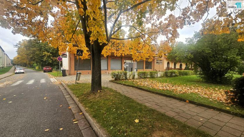 Pronájem obchodního prostoru, Chvaletice, 9. května, 160 m2