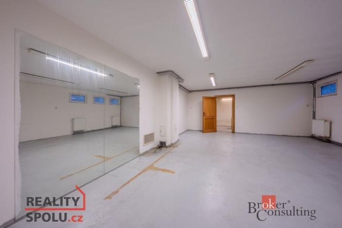 Pronájem vily, Dolní Břežany, V Zahradách, 369 m2