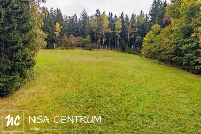 Prodej louky, Maršovice, 4745 m2