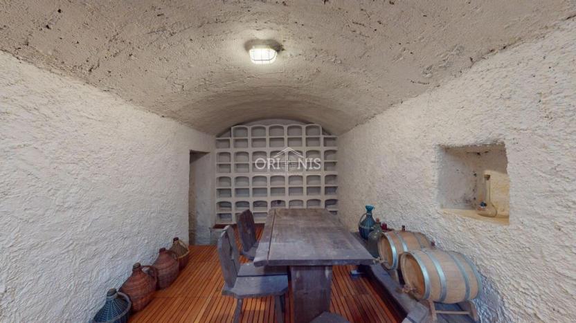 Prodej vícegeneračního domu, Okounov - Oslovice, 600 m2