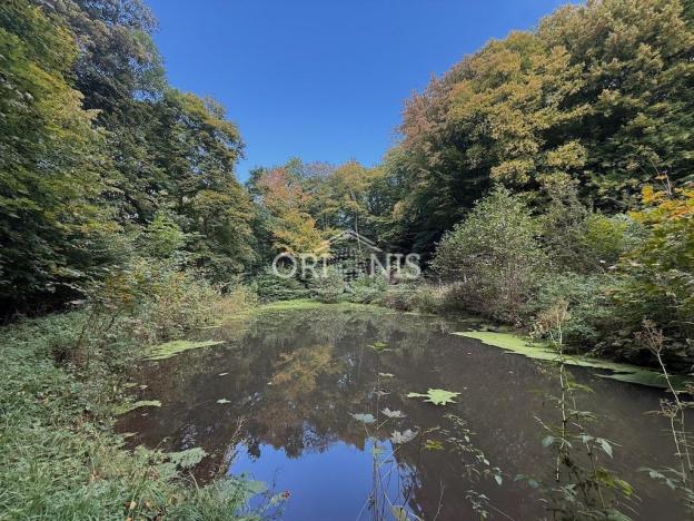 Prodej vícegeneračního domu, Okounov - Oslovice, 600 m2