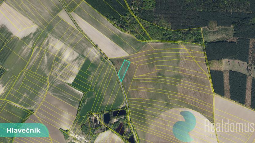 Prodej podílu 1/8 pole, Hlavečník, 3089 m2