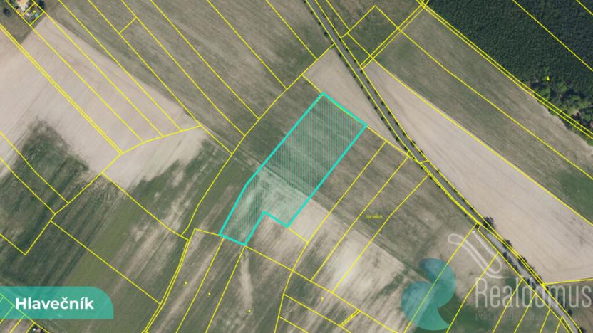 Prodej podílu 1/8 pole, Hlavečník, 3089 m2