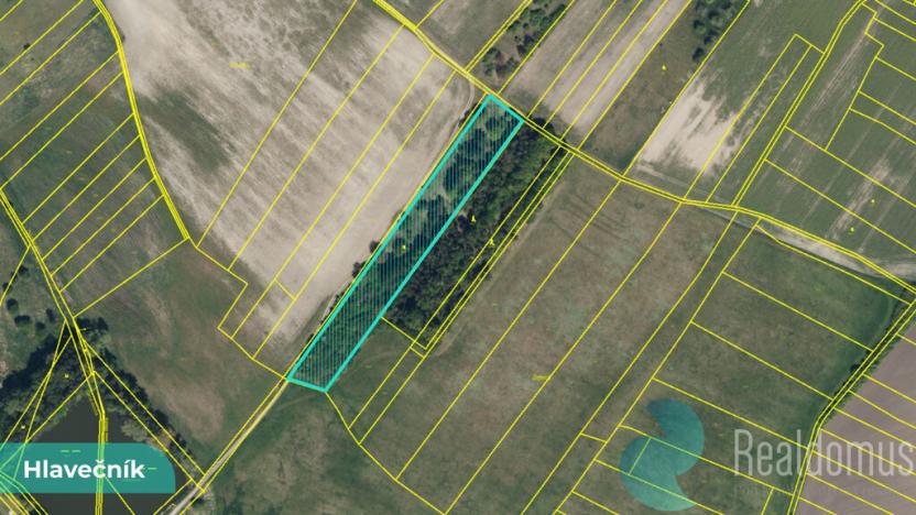 Prodej podílu 1/8 pole, Hlavečník, 3089 m2