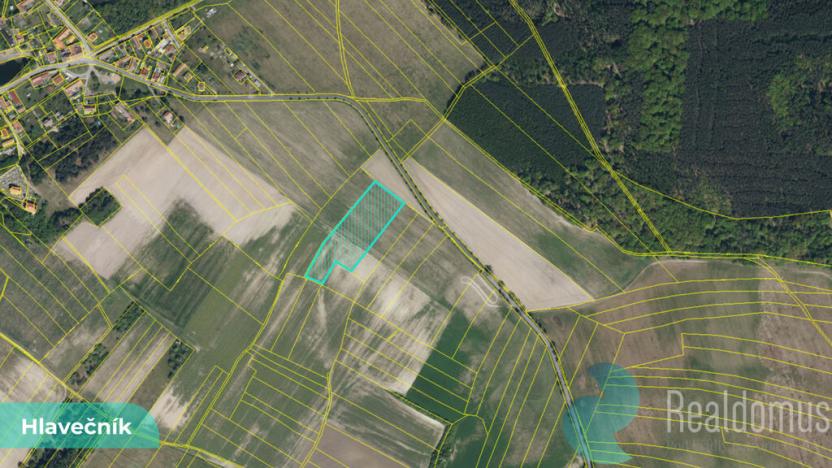 Prodej podílu 1/8 pole, Hlavečník, 3089 m2