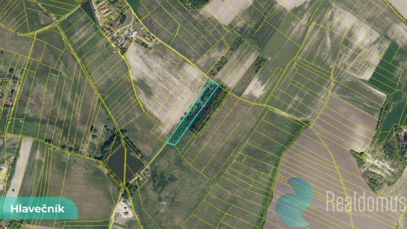 Prodej podílu 1/8 pole, Hlavečník, 3089 m2