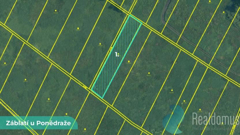 Prodej podílu 1/2 pole, Záblatí, 8390 m2