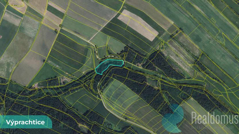 Prodej louky, Výprachtice, 6838 m2