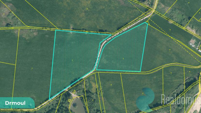 Prodej podílu 1/4 louky, Drmoul, 12559 m2