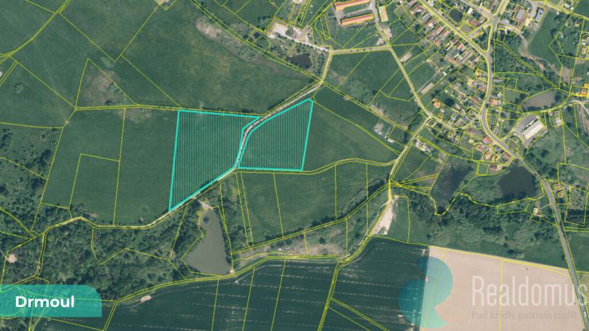 Prodej podílu 1/4 louky, Drmoul, 12559 m2