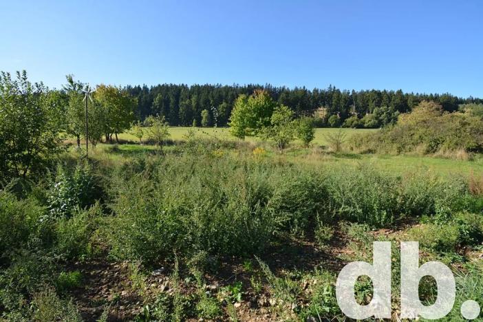 Prodej pozemku pro bydlení, Toužim, 8027 m2