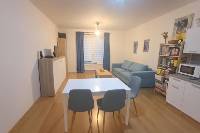 Prodej bytu 1+kk, Plzeň - Valcha, K Zelené louce, 33 m2