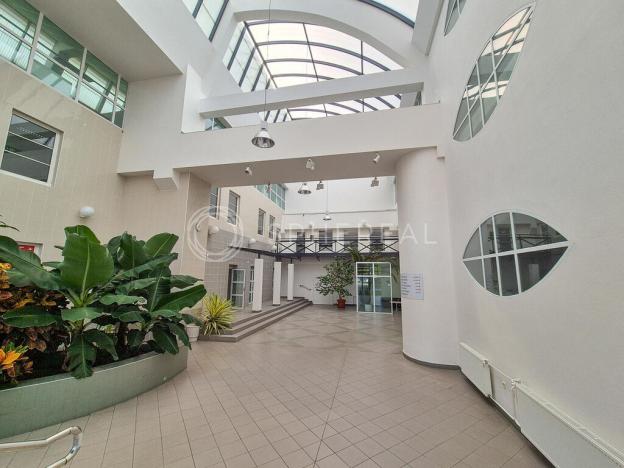 Pronájem kanceláře, Brno - Židenice, Olomoucká, 2000 m2