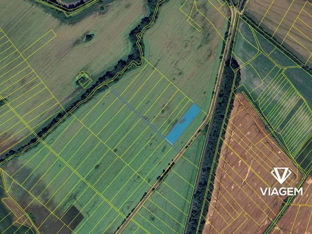 Prodej podílu pole, Čečelice, 2616 m2