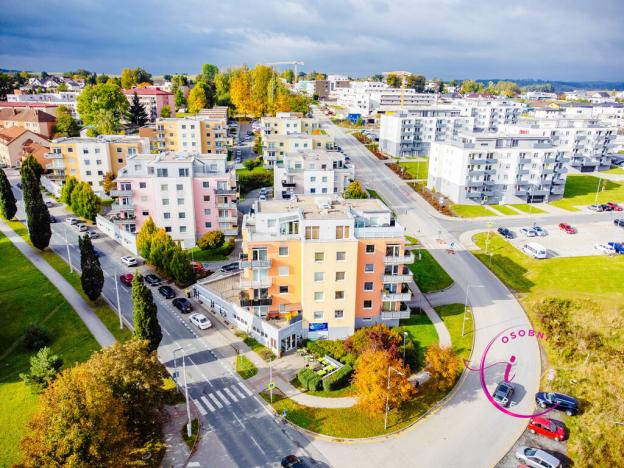 Prodej obchodního prostoru, Jihlava - Horní Kosov, Buková, 242 m2