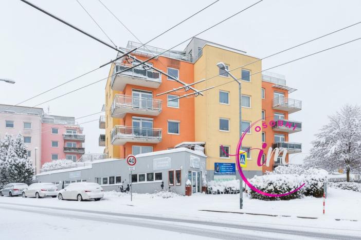 Prodej obchodního prostoru, Jihlava - Horní Kosov, Buková, 242 m2