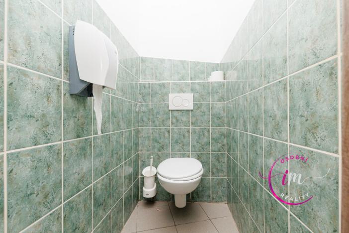 Prodej obchodního prostoru, Jihlava - Horní Kosov, Buková, 242 m2