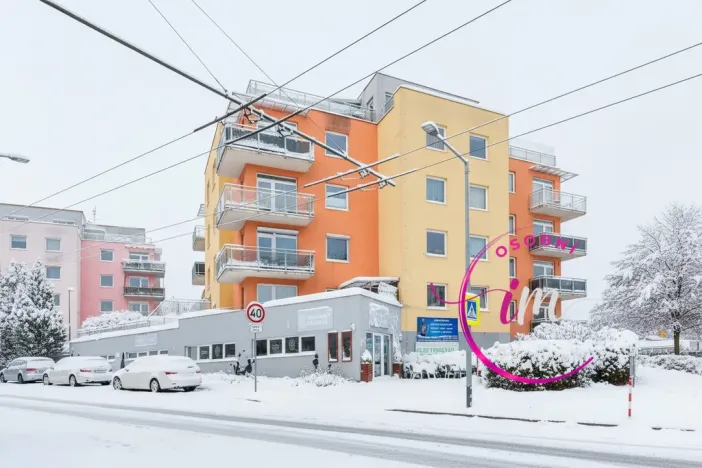 Prodej obchodního prostoru, Jihlava - Horní Kosov, Buková, 242 m2