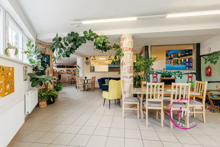 Prodej obchodního prostoru, Jihlava - Horní Kosov, Buková, 242 m2