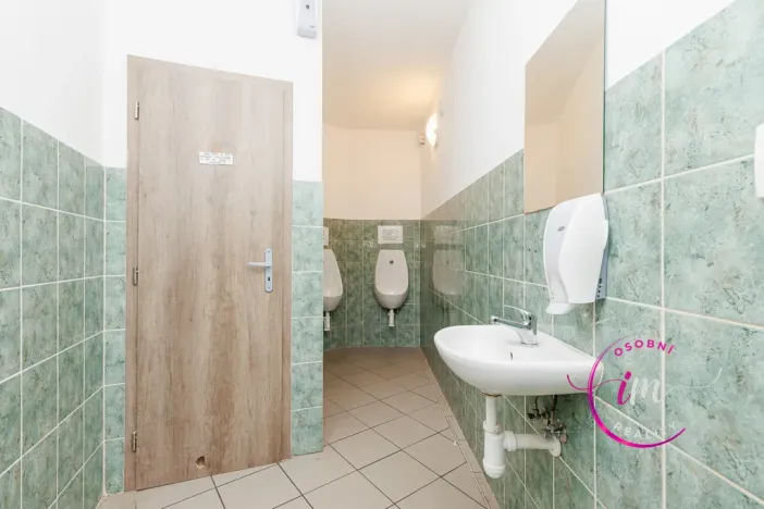 Prodej obchodního prostoru, Jihlava - Horní Kosov, Buková, 242 m2