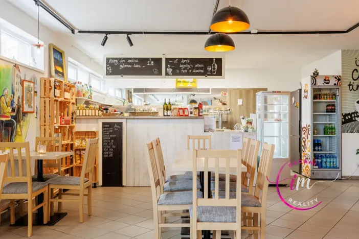 Prodej obchodního prostoru, Jihlava - Horní Kosov, Buková, 242 m2