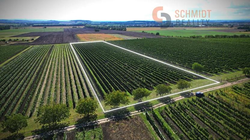 Prodej sadu/vinice, Březí, 15935 m2