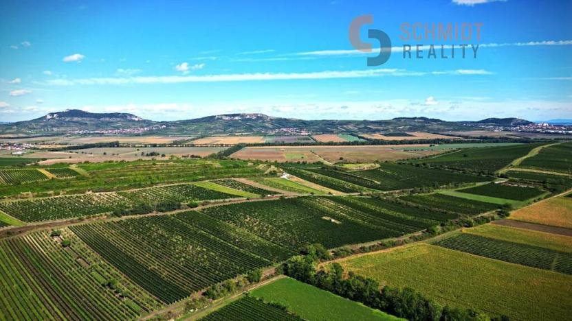 Prodej sadu/vinice, Březí, 15935 m2