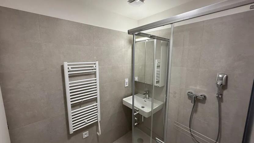 Pronájem bytu 1+kk, Přerov, Čechova, 39 m2