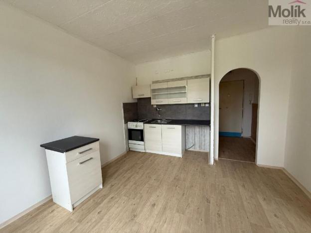 Pronájem bytu 1+1, Bílina - Teplické Předměstí, Sídliště Za Chlumem, 35 m2
