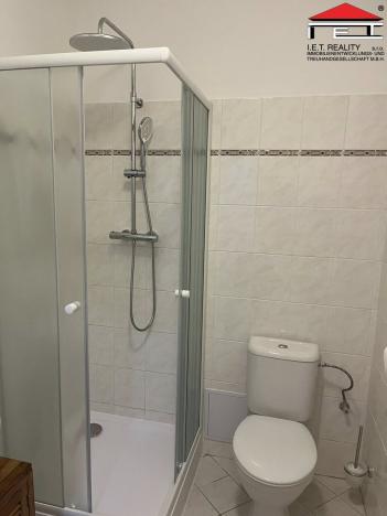 Pronájem bytu 1+1, Panenské Břežany, Družstevní, 38 m2