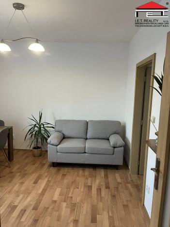 Pronájem bytu 1+1, Panenské Břežany, Družstevní, 38 m2