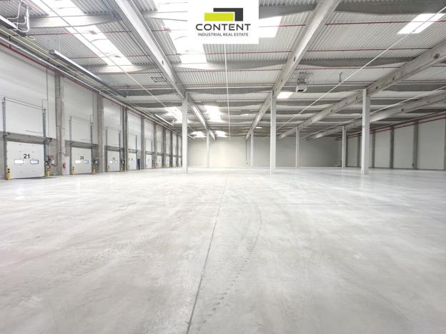 Pronájem výrobních prostor, Údlice, Droužkovická, 5000 m2