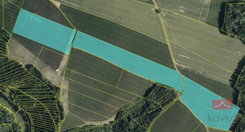 Prodej pole, Jindřichov, 42060 m2