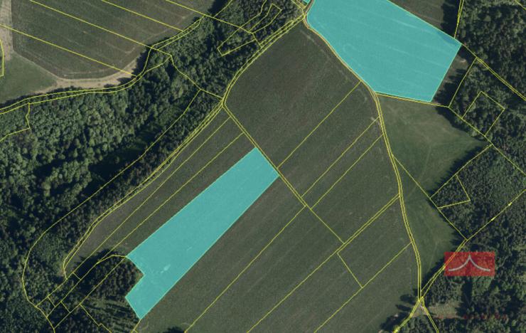 Prodej pole, Jindřichov, 42060 m2