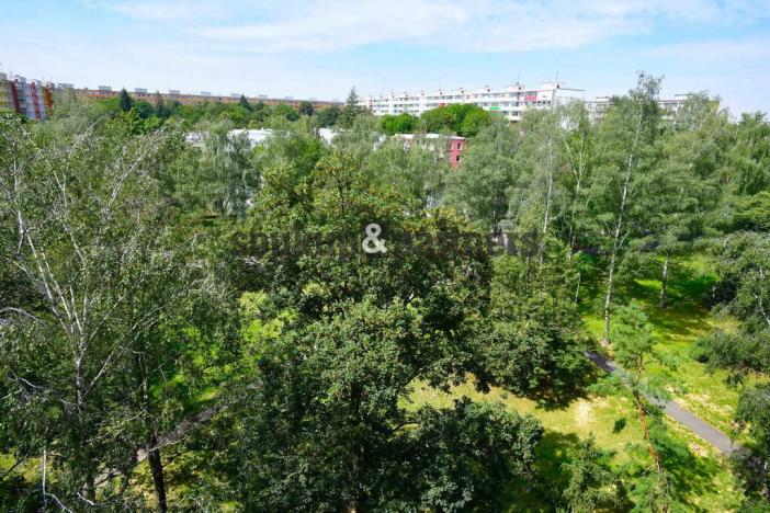 Pronájem bytu 2+kk, Praha - Prosek, Vysočanská, 37 m2