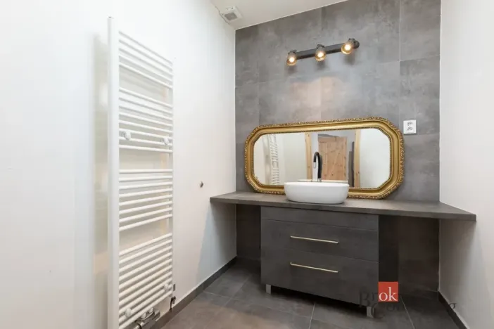 Prodej bytu 4+kk, Opava - Předměstí, Těšínská, 100 m2