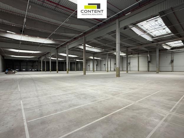 Pronájem skladu, Bor - Nová Hospoda, 9786 m2