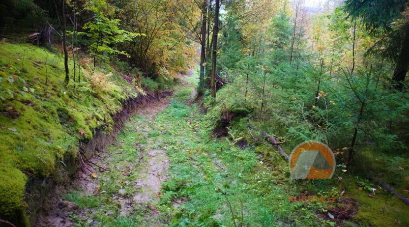 Prodej chalupy, Český Dub - Kněžičky, 157 m2