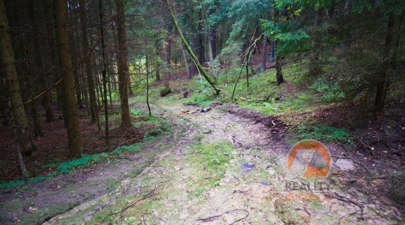 Prodej chalupy, Český Dub - Kněžičky, 157 m2