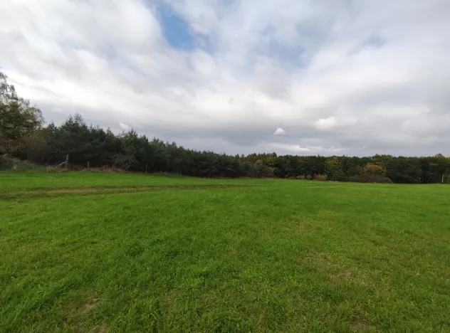 Prodej louky, Nečín, 27616 m2