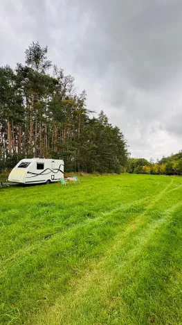 Prodej louky, Nečín, 27616 m2