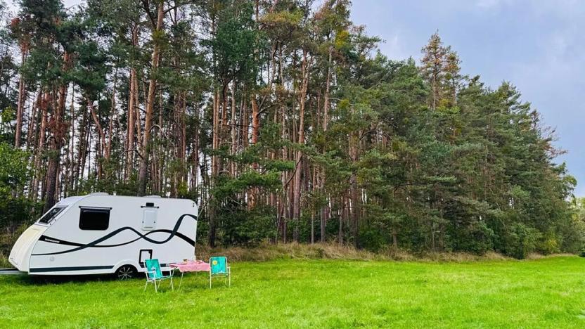 Prodej louky, Nečín, 27616 m2