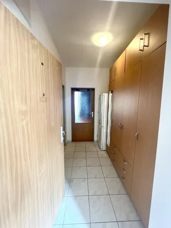 Pronájem bytu 1+kk, Plzeň - Severní Předměstí, Sedlecká, 32 m2
