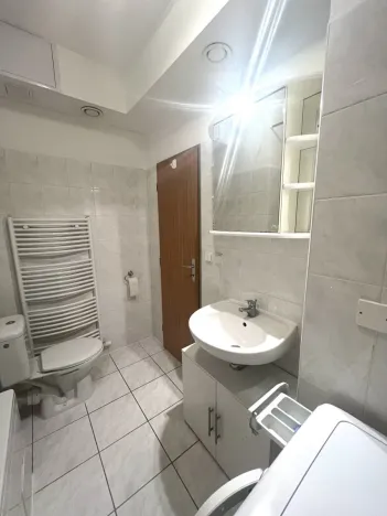 Pronájem bytu 1+kk, Plzeň - Severní Předměstí, Sedlecká, 32 m2