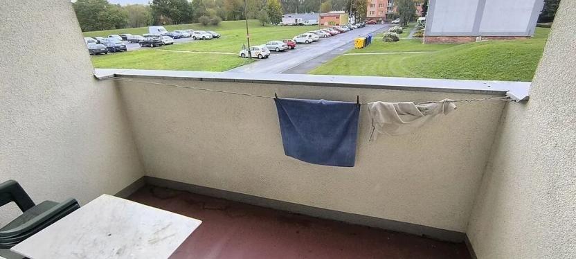 Prodej bytu 1+1, Cheb, Matěje Kopeckého, 44 m2