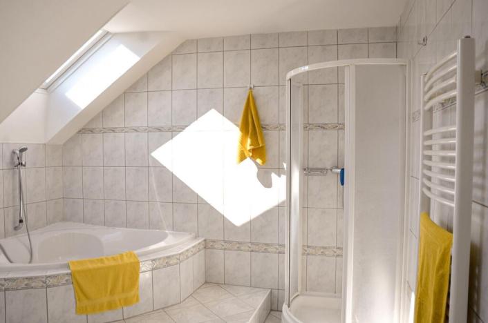 Prodej vícegeneračního domu, Olšany, 392 m2