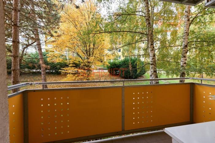 Prodej bytu 2+1, Brno, Černého, 58 m2